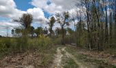 Tour Wandern Continvoir - Continvoir - GRP Coteaux de Bourgueil - Gizeux - 28.5km 345m 6h20 (1h) - 2025 04 17 - Photo 4