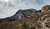 Trail Walking Saou - Saou : Le Petit Pomerolle 11km. - Photo 8