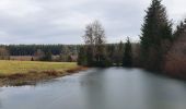 Tour Wandern Libramont-Chevigny - rando laneuville(libramont)18/02/2021 - Photo 19