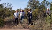 Trail Walking Roquebrune-sur-Argens - la lieutenante par la Bouvrie - Photo 2