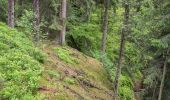 Tour Zu Fuß Willebadessen - Alte Eisenbahn Rundweg A3 - Photo 6