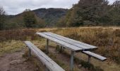 Tour Wandern Sewen - Ballon d'Alsace - Lac d'Alfed et sa cascade - Col du Bonhomme - Ballon d'Alsace - Photo 18