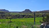 Trail Walking Chambon-sur-Lac - BOUCLE AUTOUR DE LA COUZE DE SURAINS - Photo 19
