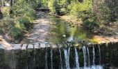 Tour Wandern Grand-Aigueblanche - Cascade du Morel-20-07-22 - Photo 9