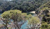 Tour Wandern Hyères - Presqu'île Giens Ouest-26-05-23 - Photo 7