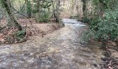 Tour Wandern Gémenos - Falaise de la galère-Gemenos 21-02-24 - Photo 3