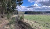 Trail Walking Gouvy - Gouvy 23 km  - Photo 4