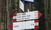 Tour Zu Fuß Corniglio - (SI L23) Bivio Lago Santo Parmense (719-729-723) - Passo della Cisa - Photo 5