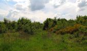 Tour Wandern Coyolles - en forêt de Retz_78_les rayons du Rond Capitaine - Photo 20