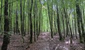 Randonnée Marche Liège - autour du domaine universitaire  - Photo 9