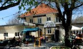 Percorso A piedi Boppelsen - Längern Hochwacht - Regensberg - Photo 2