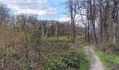 Trail Walking Liège - petit tour des Landes Streupas - Photo 2