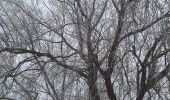 Tocht Stappen Verlaine - 2025-01-19_13h03m19_circuit_autour_du_chateau_de_seraing-le-chateau-3 - Photo 9