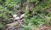 Randonnée Marche Sablières - Pont Du Mas - Boules de Gargantua 14km - Photo 7