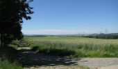 Excursión A pie Fuldatal - Rund um die Hasenhecke - Photo 8