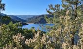 Tour Wandern La Môle - La Mole - Barrage de la Verne  - Photo 2