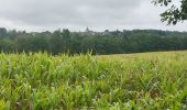 Tour Wandern Iffendic - GR_37_CC_37_Iffendic_Plelan-le-Grand_20220821 - Photo 12