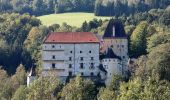 Tour Zu Fuß Feistritz am Wechsel - Feistritz am Wechsel - Hollabrunn über Steinbichel - Photo 8