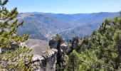 Tour Wandern Ispagnac - Salancon/ Le Rocher de la Table/ Lonjagnes - Photo 1