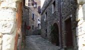 Trail On foot Pescia - IT-50 - Photo 8