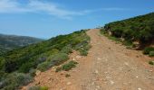 Trail On foot Unknown - Andros Routes 14 - Photo 6