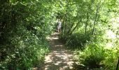 Trail On foot Walhain - #170829 - Nil Pierreux, carrières de quartzite, Moulin d'Al Poudre et Tour des Sarrasins*** - Photo 19