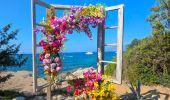 Randonnée Marche Santo-Pietro-di-Tenda - Le sentier côtier entre la plage de Seleccia et celle de Lotu - Photo 2