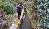 Trail Walking Carcès - SityTrail - Carces - Photo 16