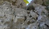 Tocht Stappen Ollioules -  Les Grottes  St Martin  - Photo 13