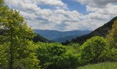 Tour Wandern Xonrupt-Longemer - retournemer hohnech schiesrothried blanchemer et lande  - Photo 12