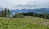 Tocht Stappen Thalgau - De Wasenmoos à la Chapelle du Kolomansberg - Photo 10