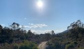 Trail Walking Fréjus - z vers Malpasset 25-01-22 - Photo 1