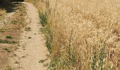 Trail Walking Les Bordes - les bordes - Photo 3