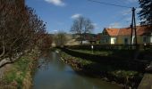 Tour Zu Fuß Bad Waltersdorf - Herrschaftswaldweg (W7) - Photo 6