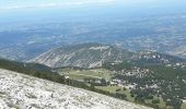 Percorso Marcia Beaumont-du-Ventoux - Ascension du Ventoux versant nord - Photo 16