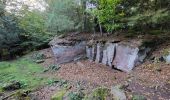 Trail Walking Saint-Jean-Saverne - circuit, St Michel, château warthenberg - Photo 2