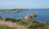 Tour Wandern Camaret-sur-Mer - Camaret CA 24 mai 2023 - Photo 4