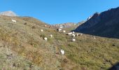 Trail Walking Bellino - ITALIE  BELLINO Roye o - Photo 8