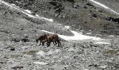 Tocht Stappen Aussois - Le tour des refuges et le lac du genepy - Photo 6