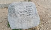 Trail Walking Stosswihr - Honeck depuis Gaschney - Photo 10