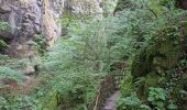 Trail Walking Thiézac - Les Gorges du Pas de Cère - Photo 19