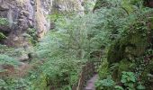 Randonnée Marche Thiézac - Les Gorges du Pas de Cère - Photo 19