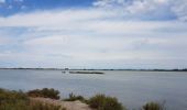 Tour Radtourismus  Saintes-Maries-de-la-Mer - Stes Maries de la Mer  -  Sète - Photo 6