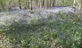 Trail Walking Binche - Buvrinnes 17 04 20 - Photo 2