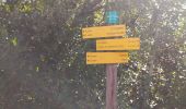 Tour Wandern Aspères - aspere - Photo 6