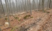 Percorso Marcia Saint-Leu-la-Forêt - fin 2025 0310 saint leu la foret trop de boue - Photo 2