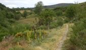 Trail Walking Loubaresse - Etape1 Cévenne ardéchoise 17km - Photo 6