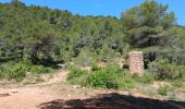 Trail Walking Aix-en-Provence - 13-bibemus_barrages_zola&bimont_10km270m - Photo 2