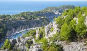 Trail Walking Cassis - XX-Cassis-Les Calanques-Miou-Pin-En Vau - Photo 7