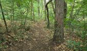 Trail Walking Oncy-sur-École - Oncy-sur-École - Grotte aux Fées  - Photo 16